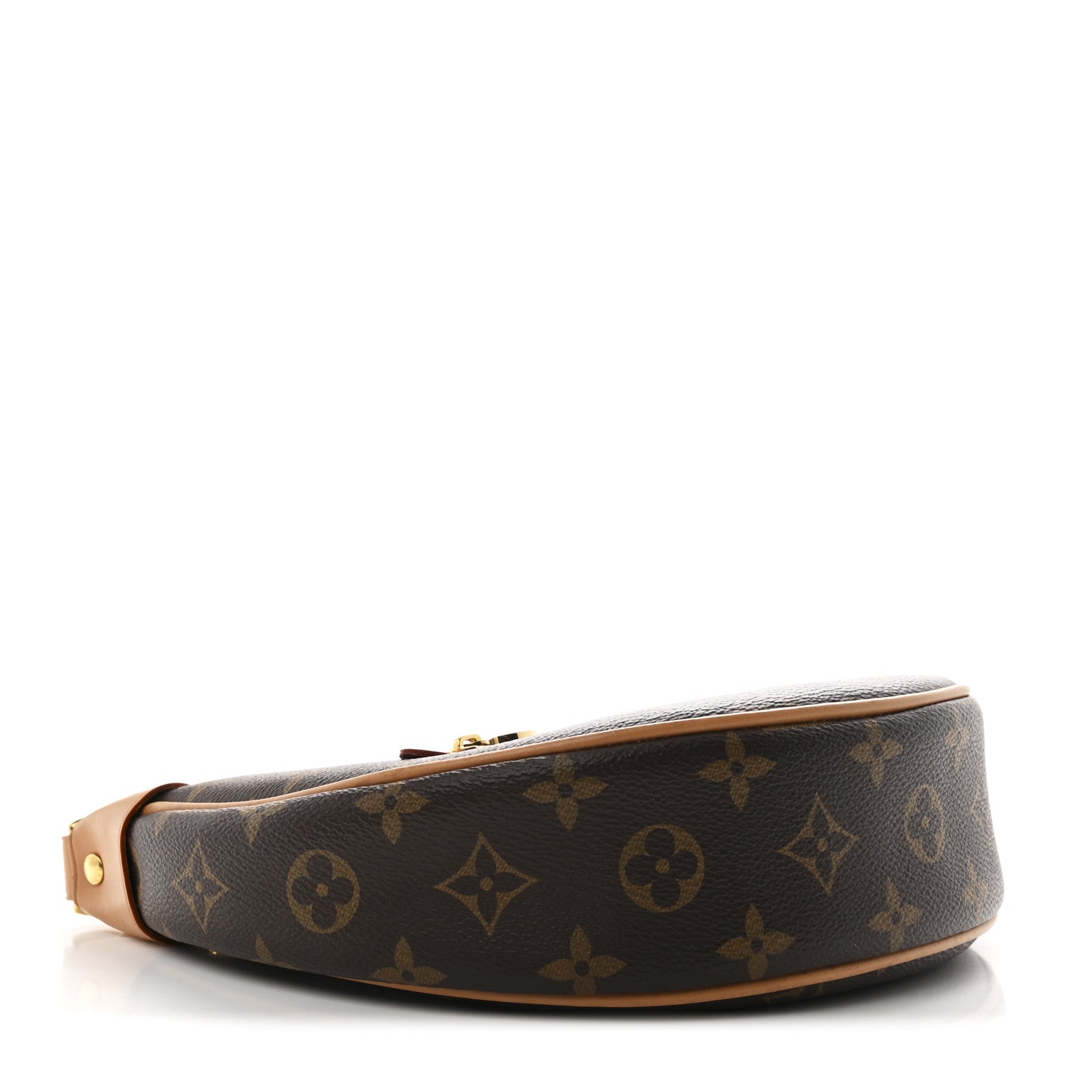 Louis Vuitton Monogram Loop Bag