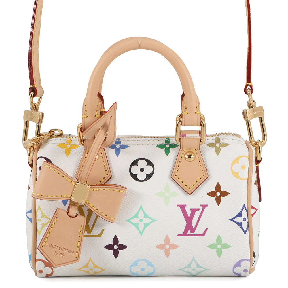 Louis Vuitton Multicolore Nano Speedy