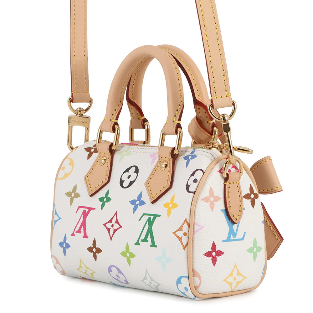 Louis Vuitton Multicolore Nano Speedy