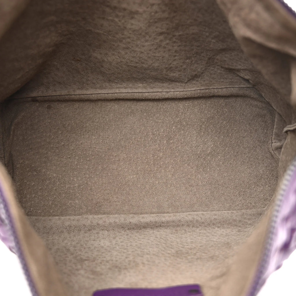 Bottega Veneta Intrecciato Purple Bag