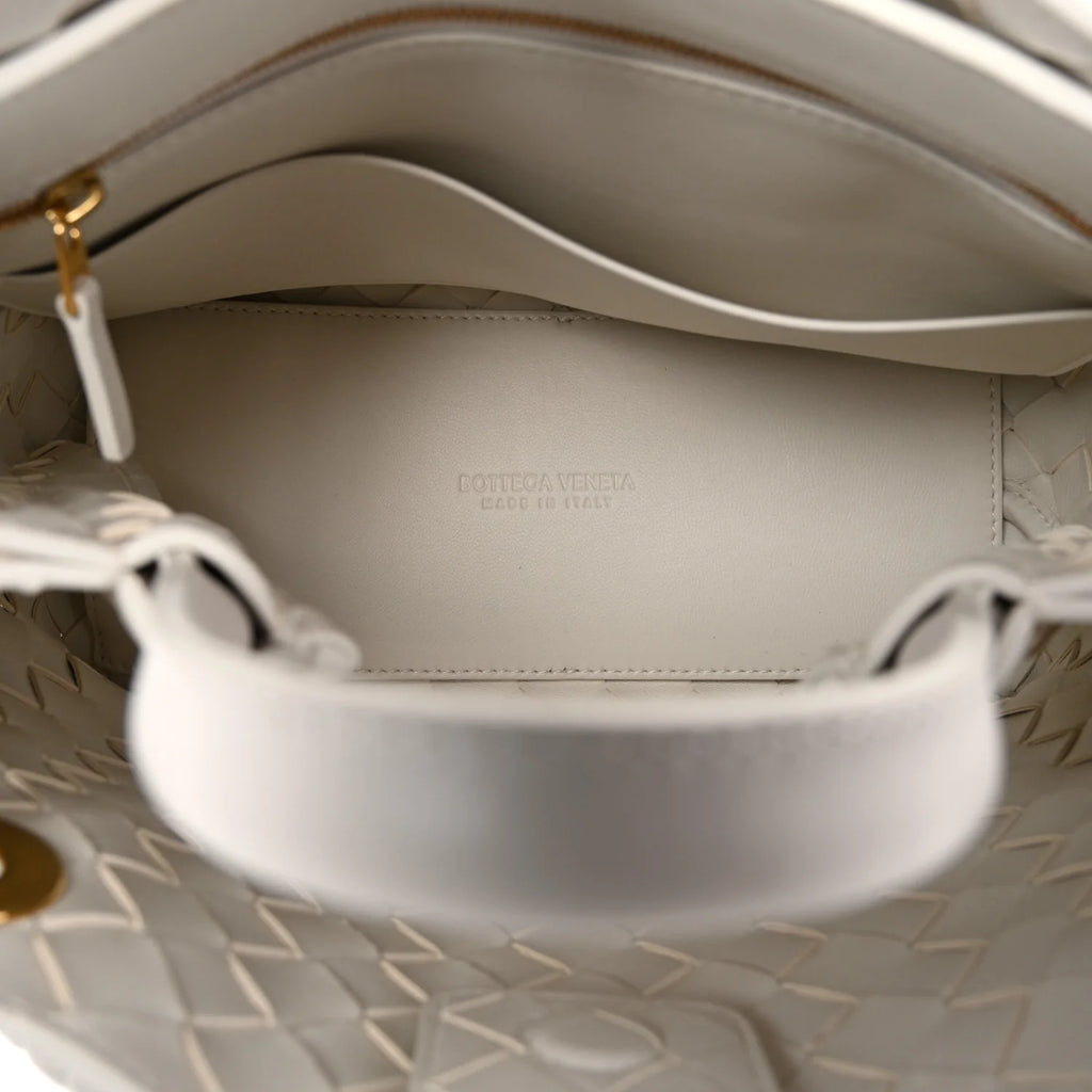 Bottega Veneta Intrecciato Andiamo Tote