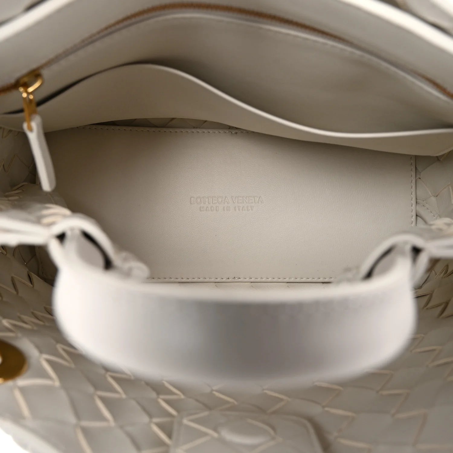 Bottega Veneta Intrecciato Andiamo Tote