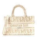 Dior Mini Gold Oblique Tote