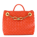 Bottega Veneta Intrecciato Andiamo Tote