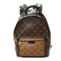 Louis Vuitton Palm Springs Backpack