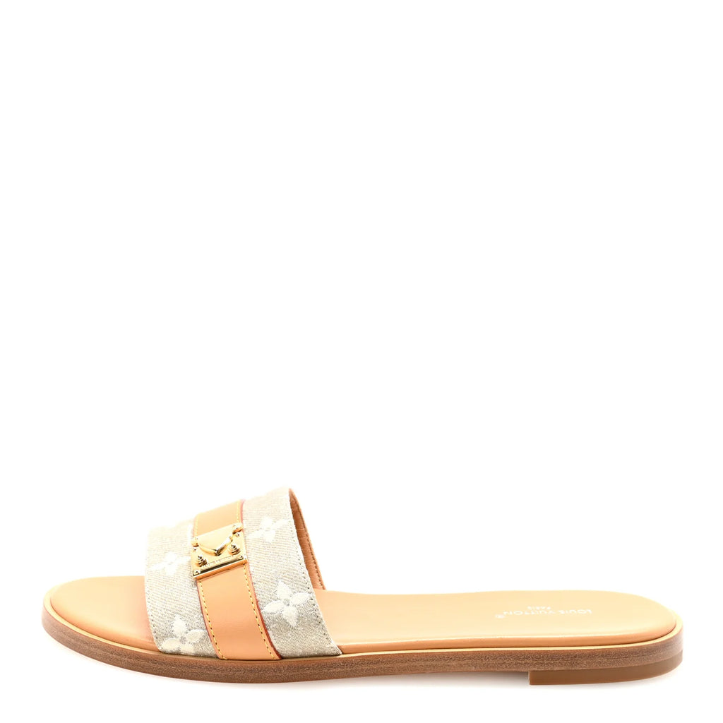 Louis Vuitton Monogram Lock Slides