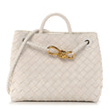 Bottega Veneta Intrecciato Andiamo Tote