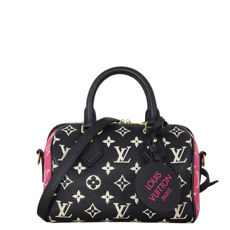 Louis Vuitton Speedy Monogram Bag
