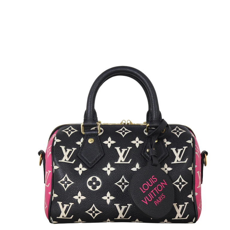 Louis Vuitton Speedy Monogram Bag