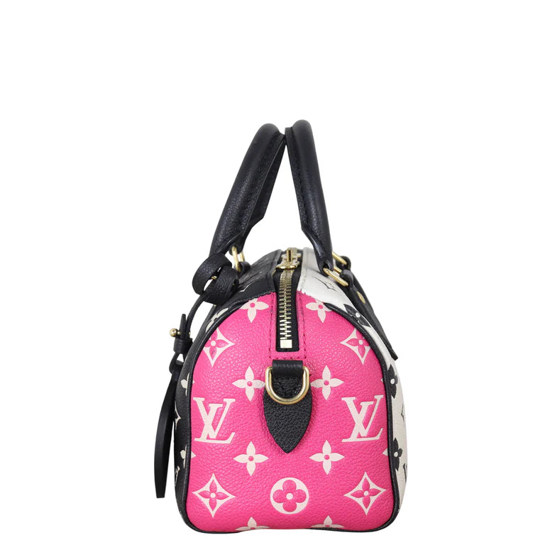 Louis Vuitton Speedy Monogram Bag