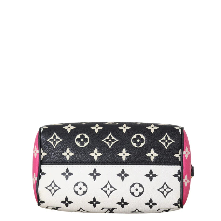 Louis Vuitton Speedy Monogram Bag