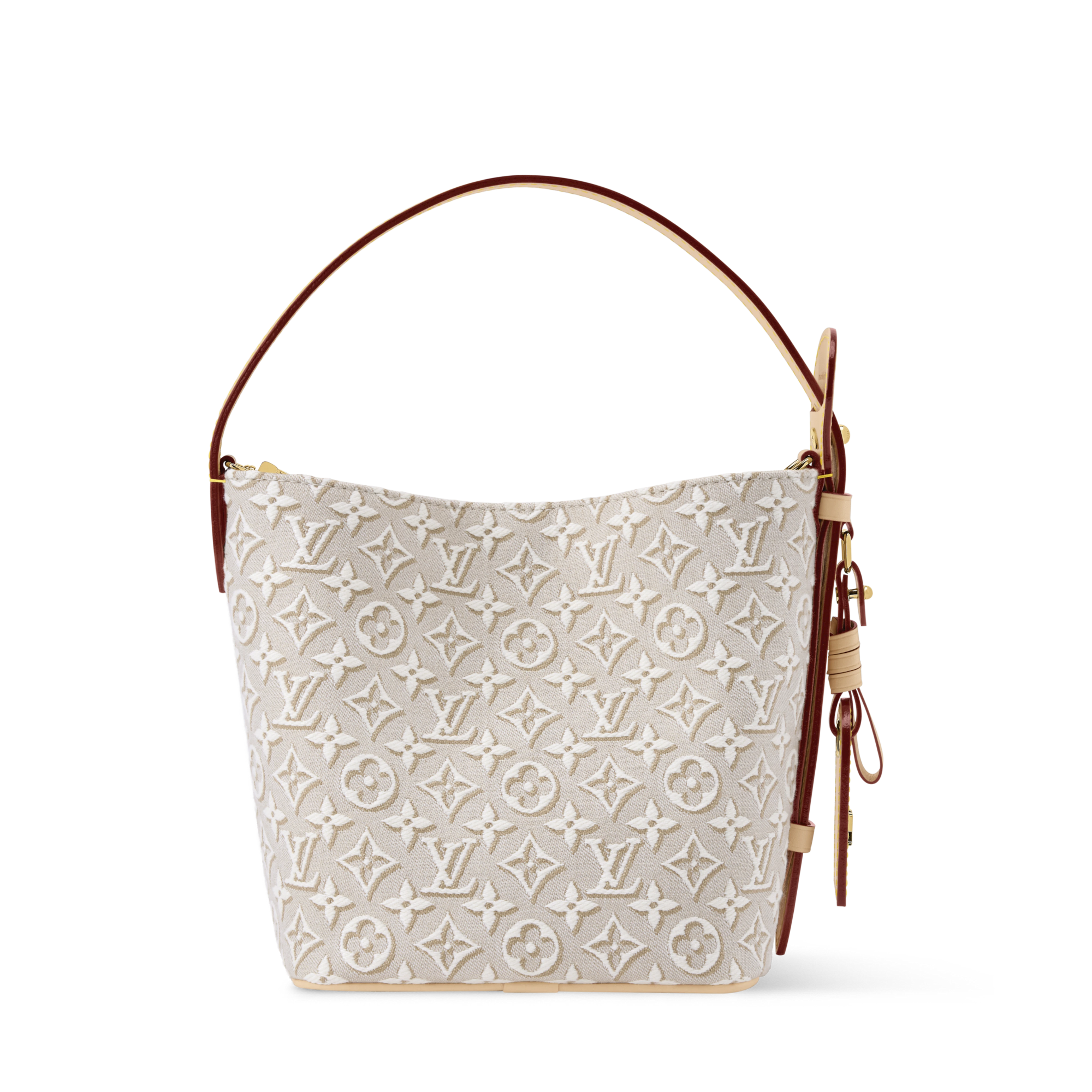 Louis Vuitton Monogram Jacquard Bag