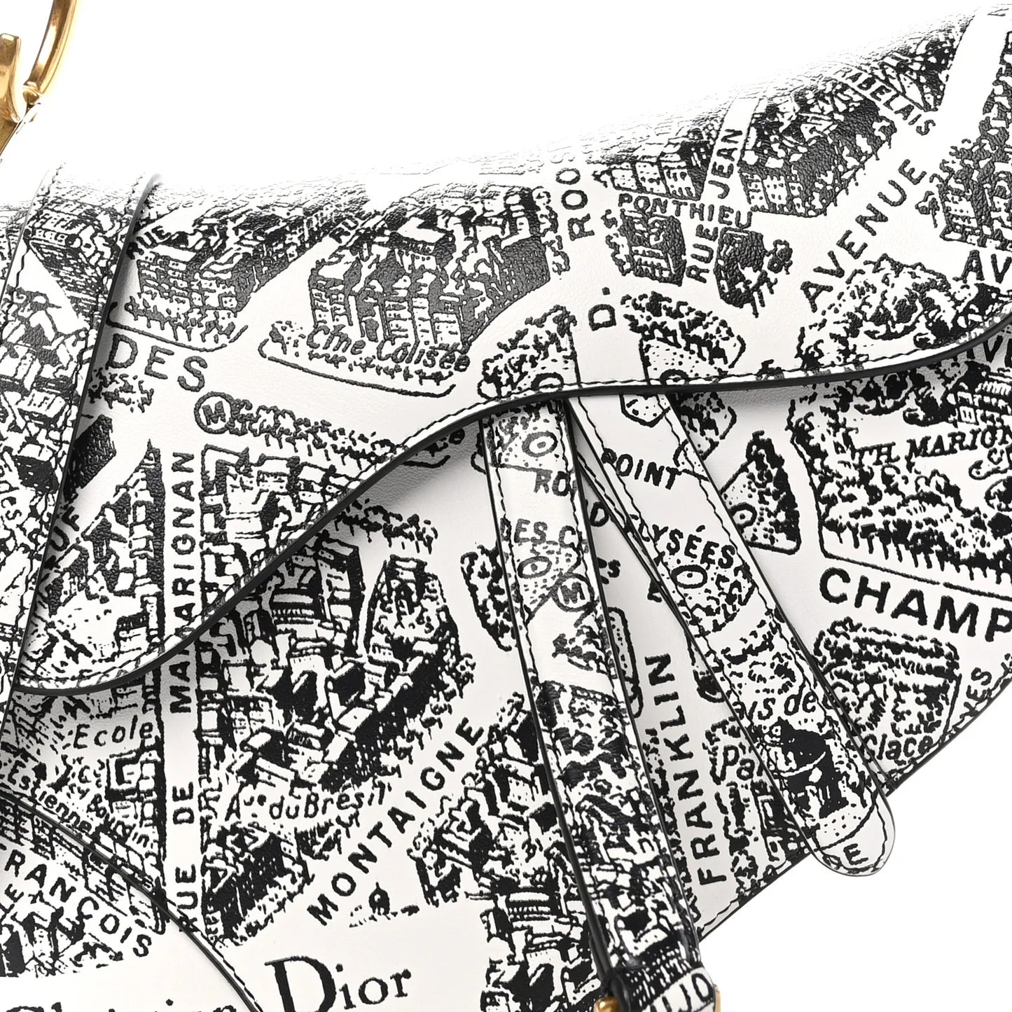Dior Paris Map Saddle Bag