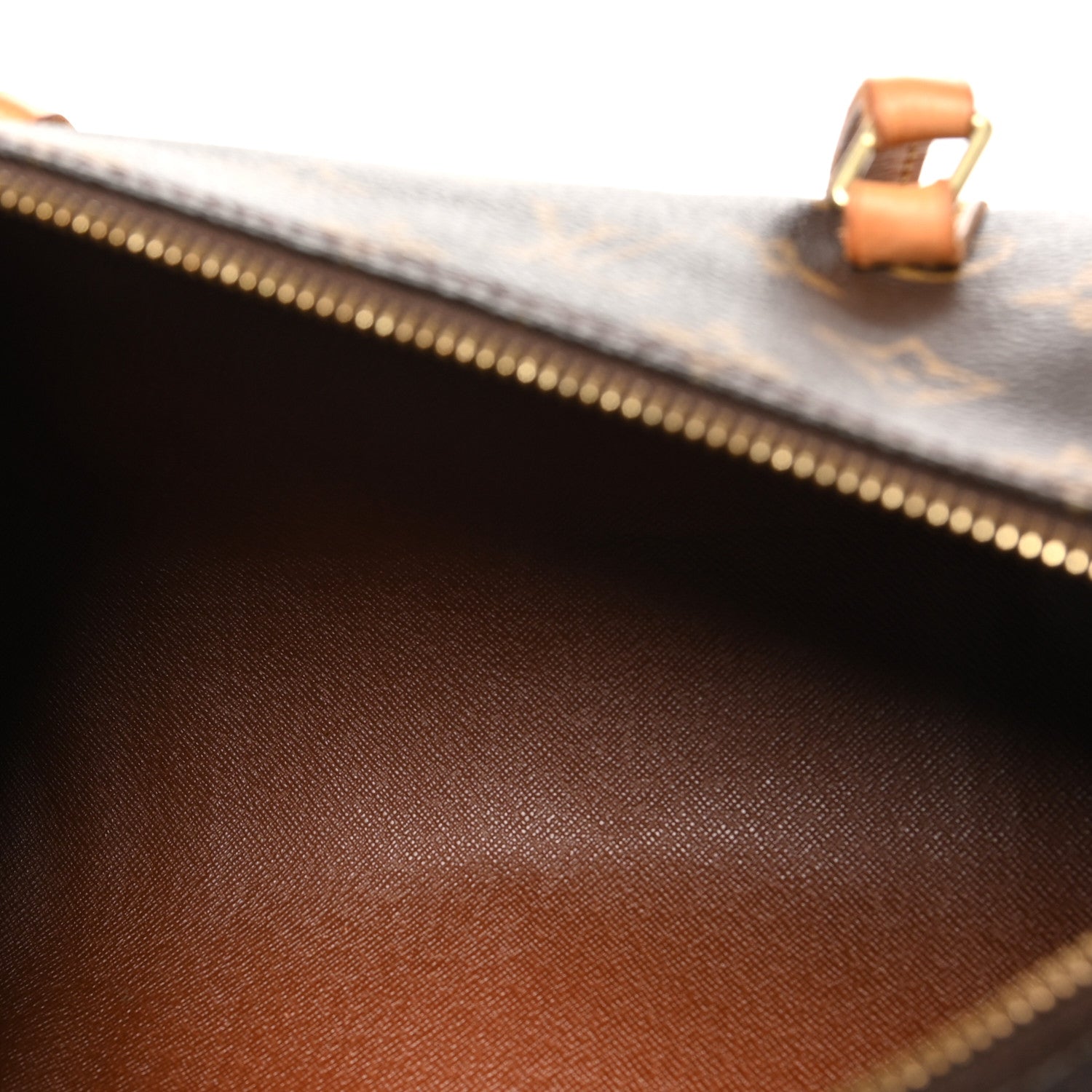 Louis Vuitton Monogram Papillon Bag