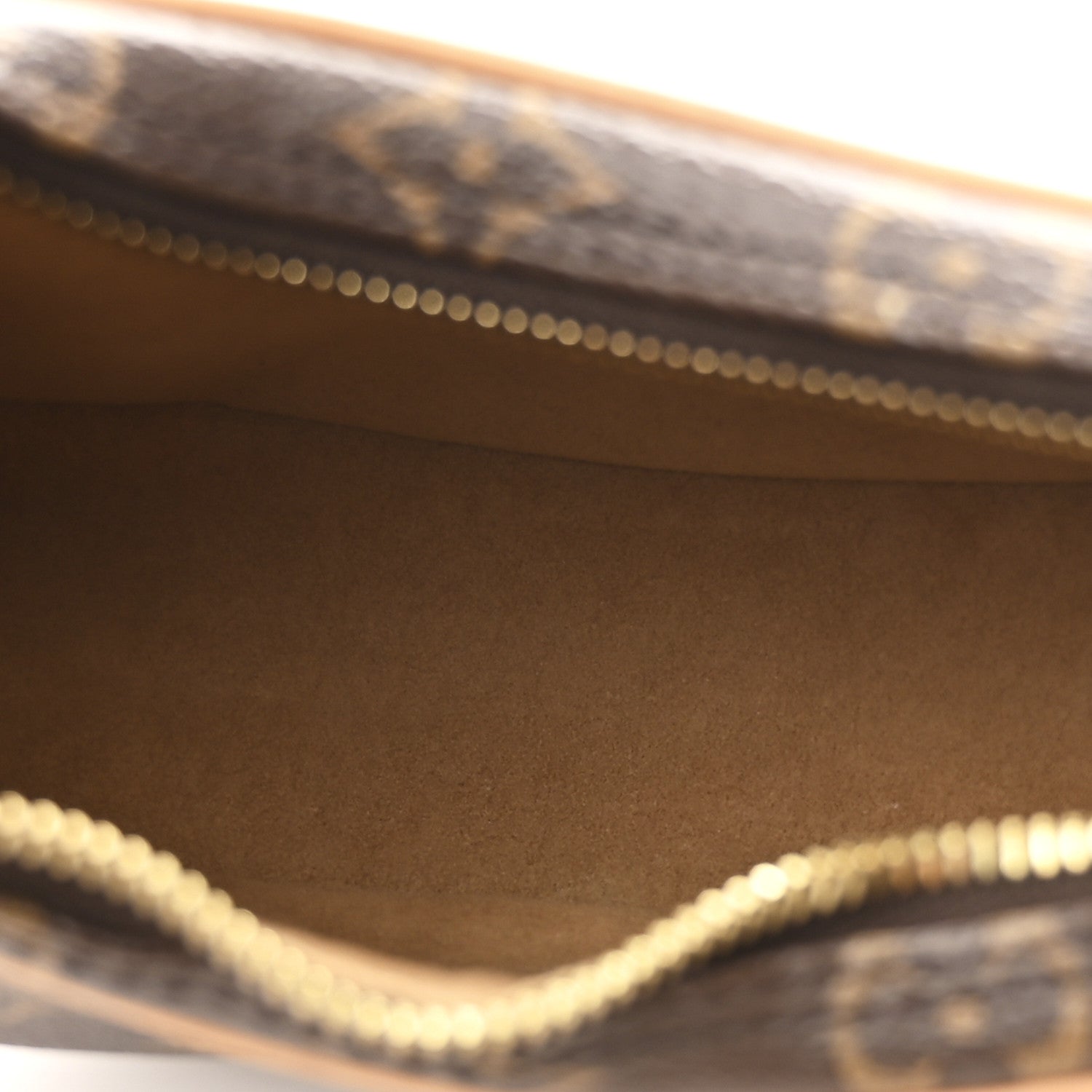Louis Vuitton Monogram Loop Bag